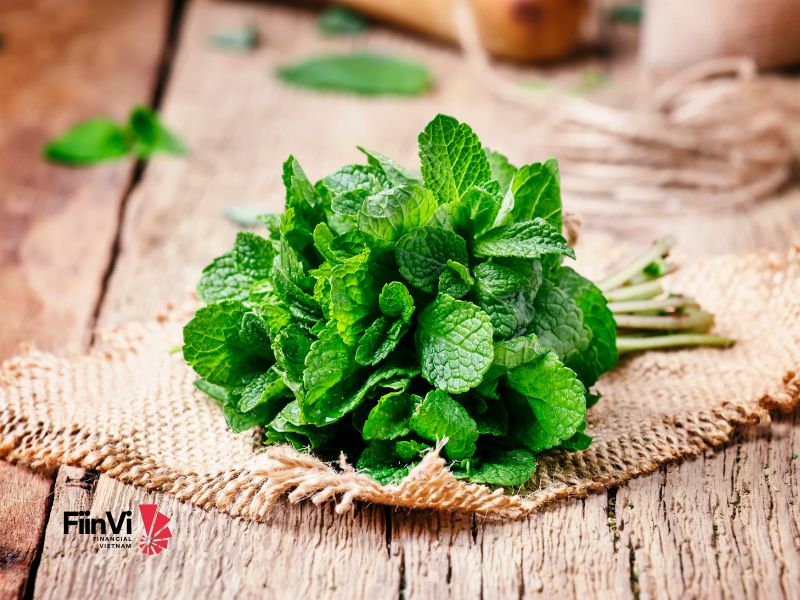 Cách Trị Ngủ Ngáy Dân Gian - Bạc Hà