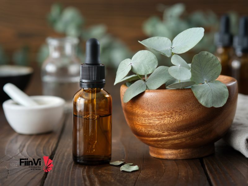 Cách Trị Ngủ Ngáy Dân Gian - Tinh Dầu Khuynh Diệp