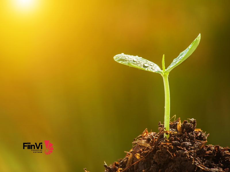 3 người thầy vĩ đại-Robin Sharma-Hạt giống
